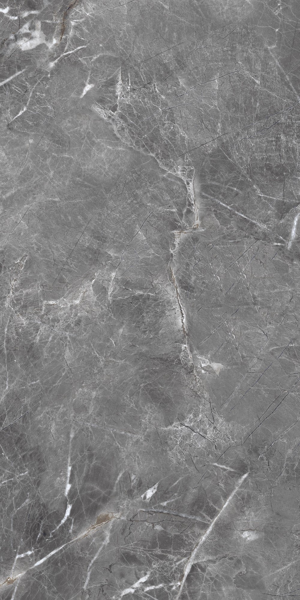 Shadow Dark Grey Polished 60x120 Realistik