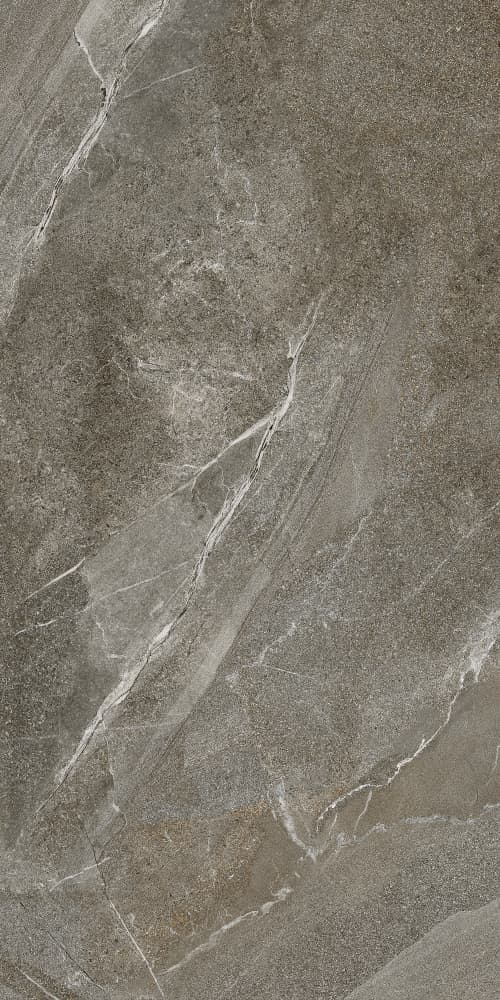 6493-0146 Гроза бежево-коричневый 60х120 Lasselsberger фото 5