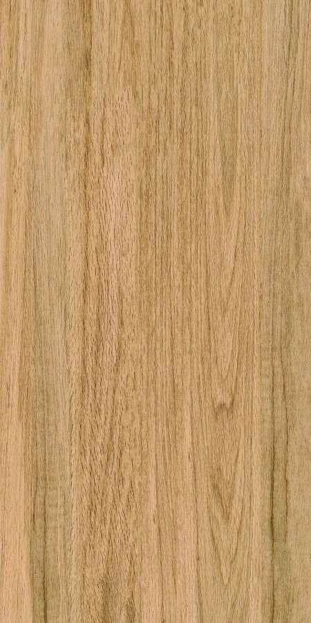 Greenwood Great Matt 60x120 Bonaparte