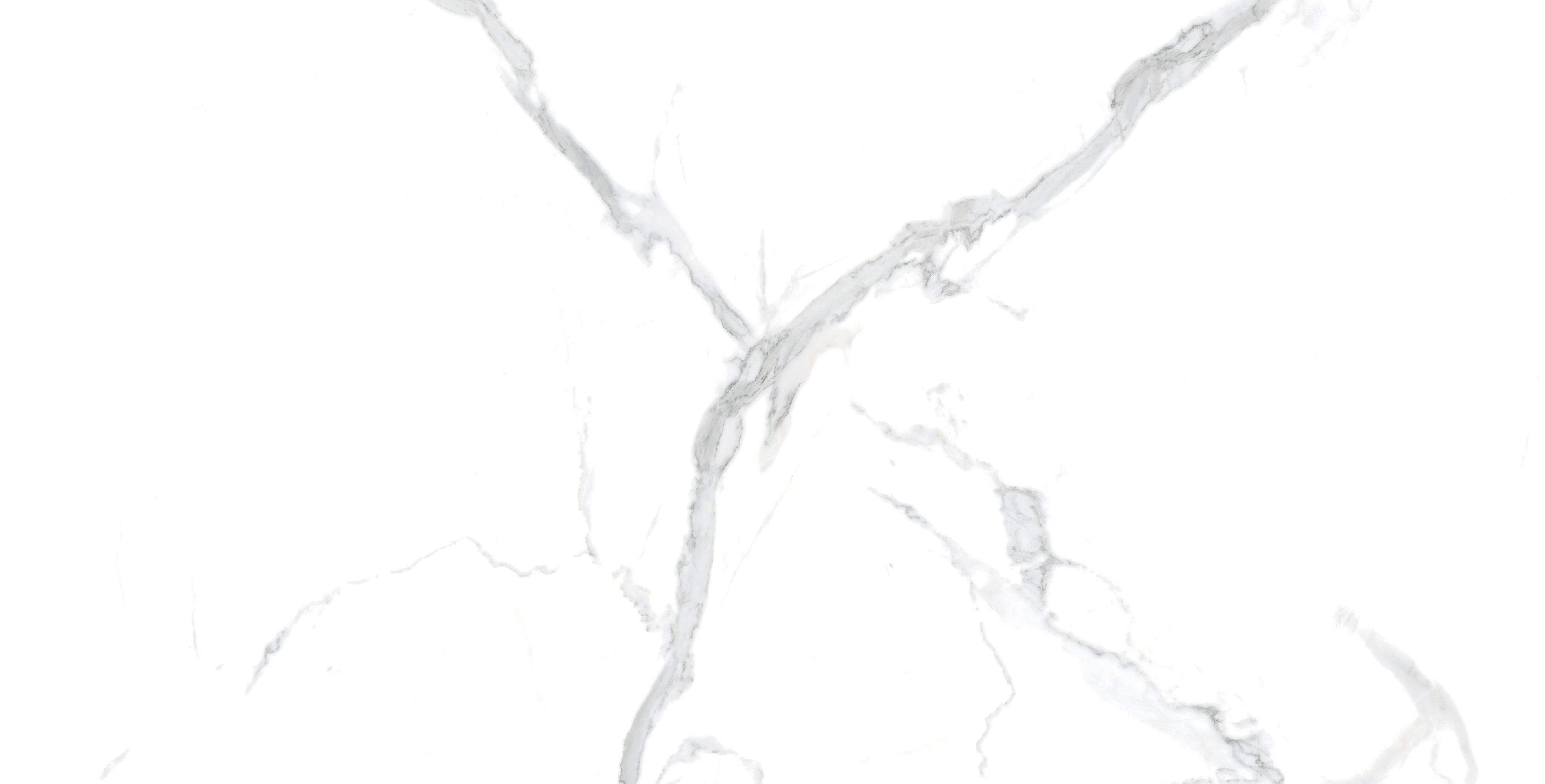 Statuario PGVT 60x120 Casati Ceramica