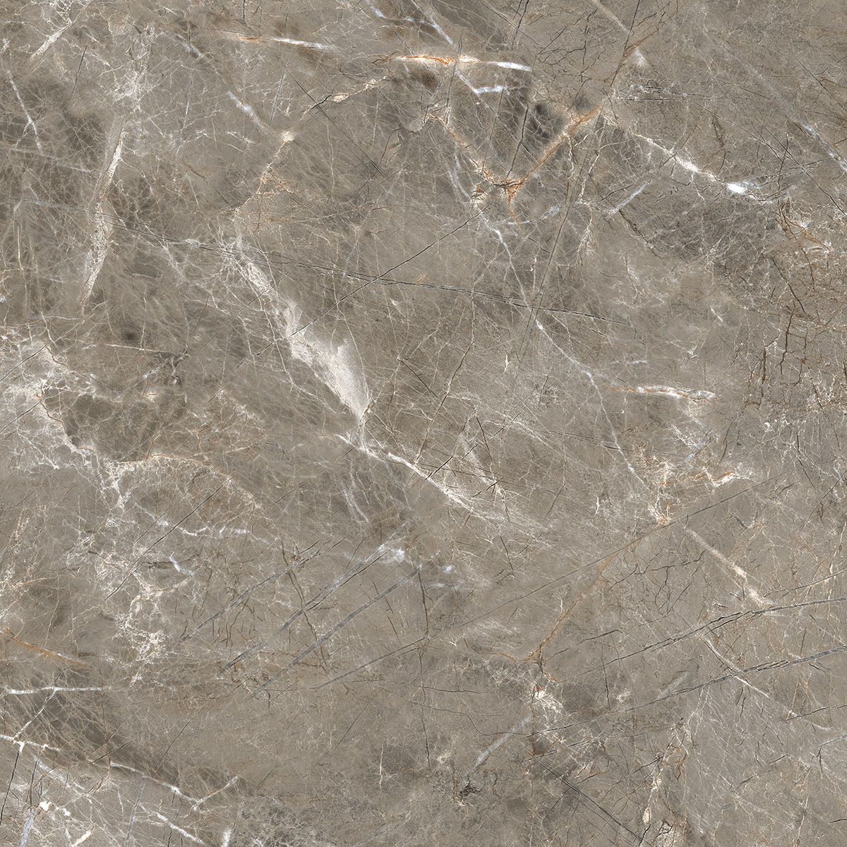 R_PR1023 Olympia Grey Polished 60x60 Royce