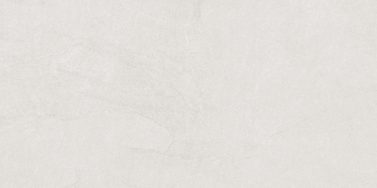 Sandstone Bianco PRO светло-серый матовый R10GR STR CB 60х120 Laparet