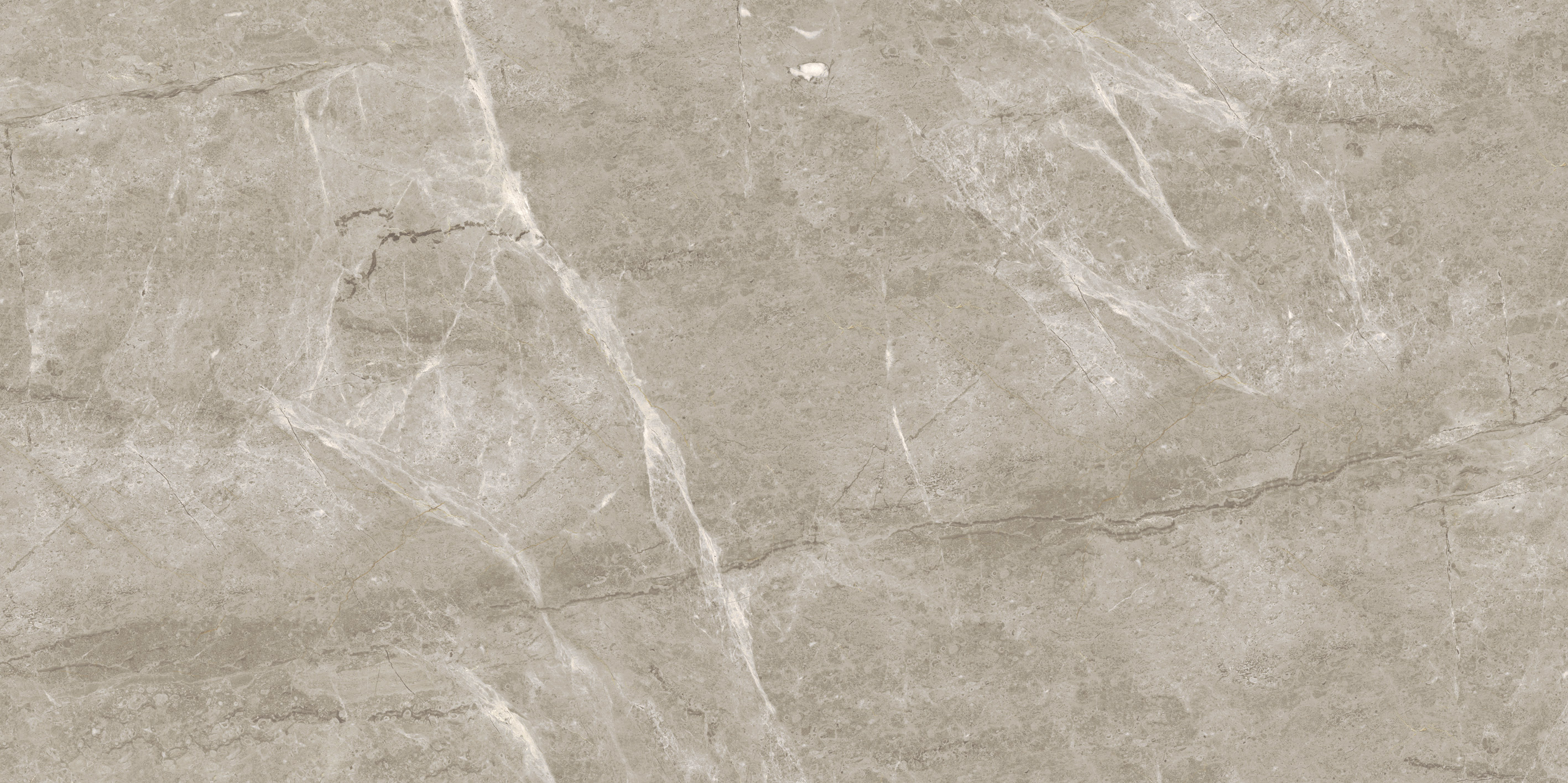 Breccia Silver Venato POL 120x60x0.55 BODE фото 2