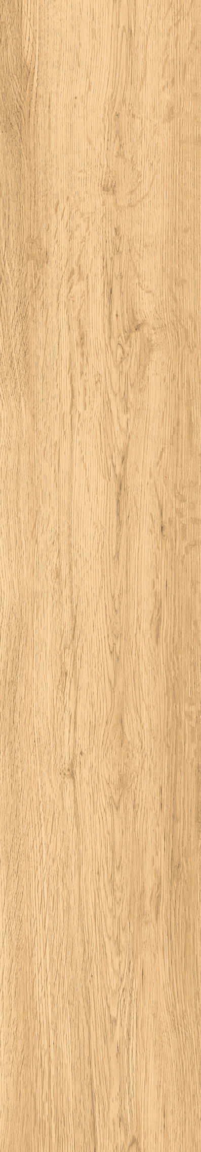 1108 Modena Honey Mate 120x20 Artcer