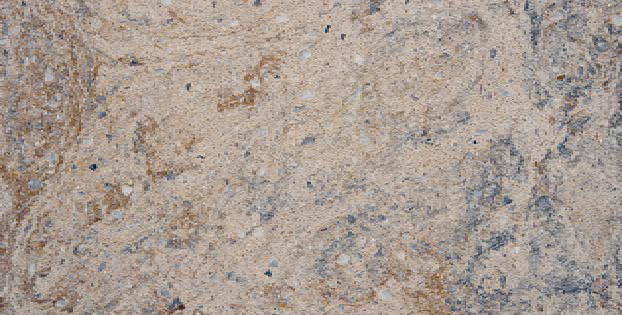 FM3366 Fossil Mix 33х66 Serapool