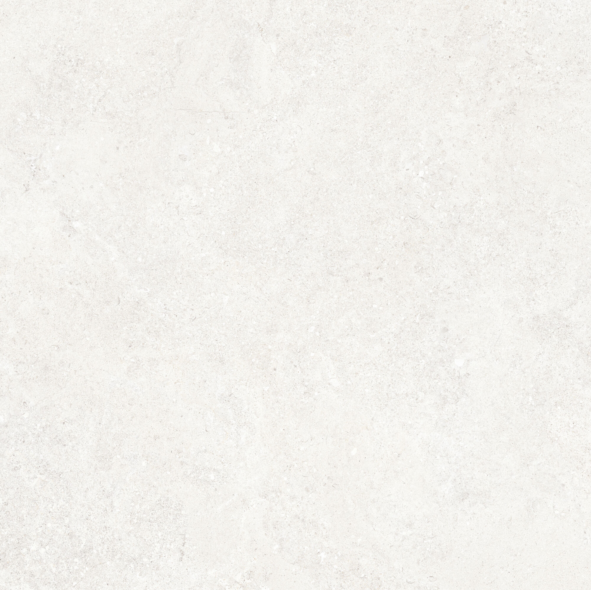 42833 Versa White/100X100X2/A/R 100x100 Peronda фото 13