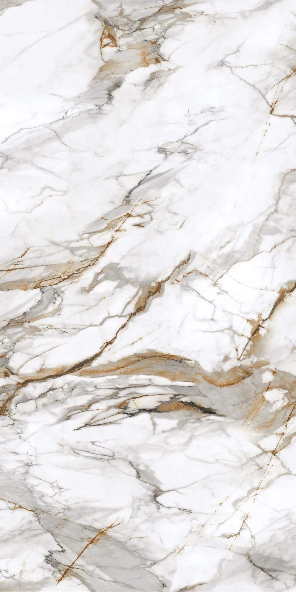 PT12P7081 Royal Marble Полированная 1200х600х9 Protiles фото 4
