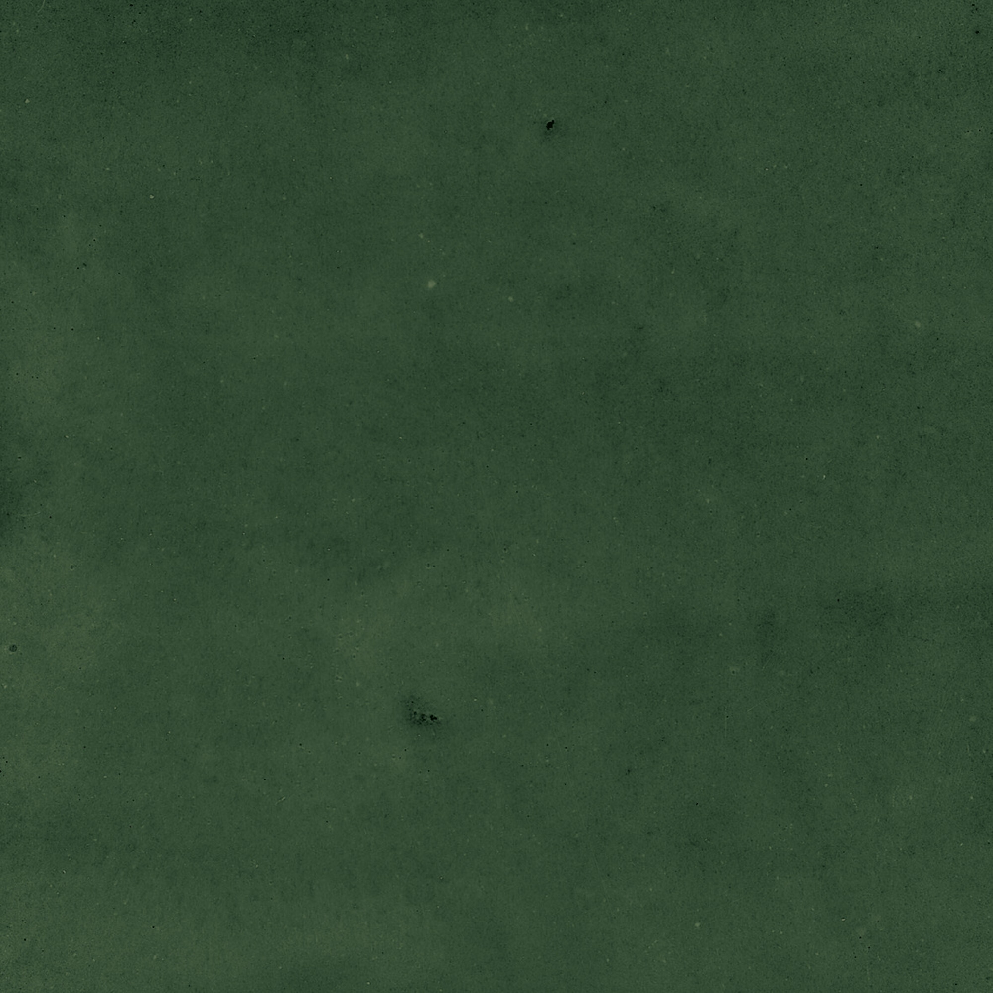 43289 Samira Green 10x10 Harmony фото 28
