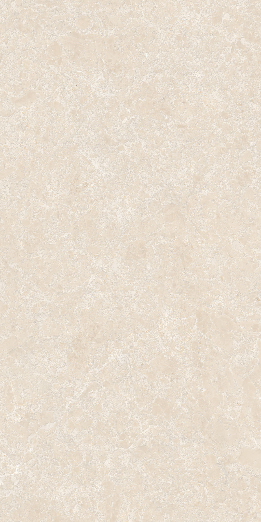 GT1206025402M3GR Shell Бежевый 3D граниль 60x120 Global Tile фото 14