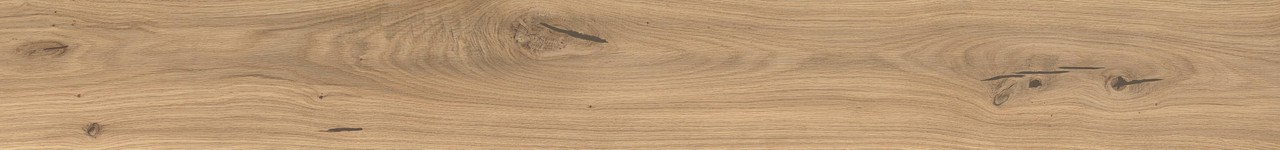AX5U Log Icon Oak Forest Matte 20x180 Atlas Concorde