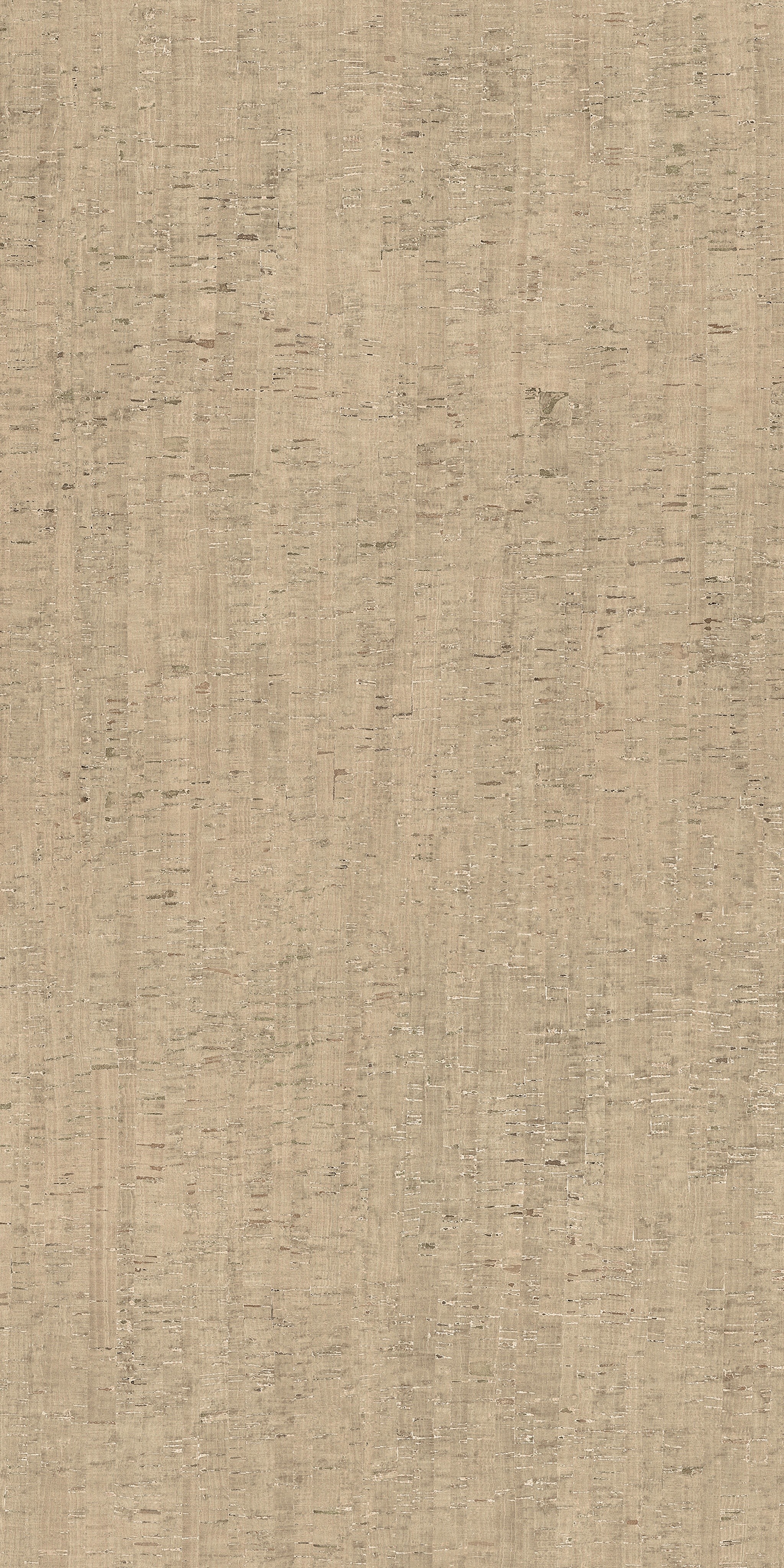 785600 Rinascenza Modulo Conchiglia Matte 6mm 120x240 Casa Dolce Casa