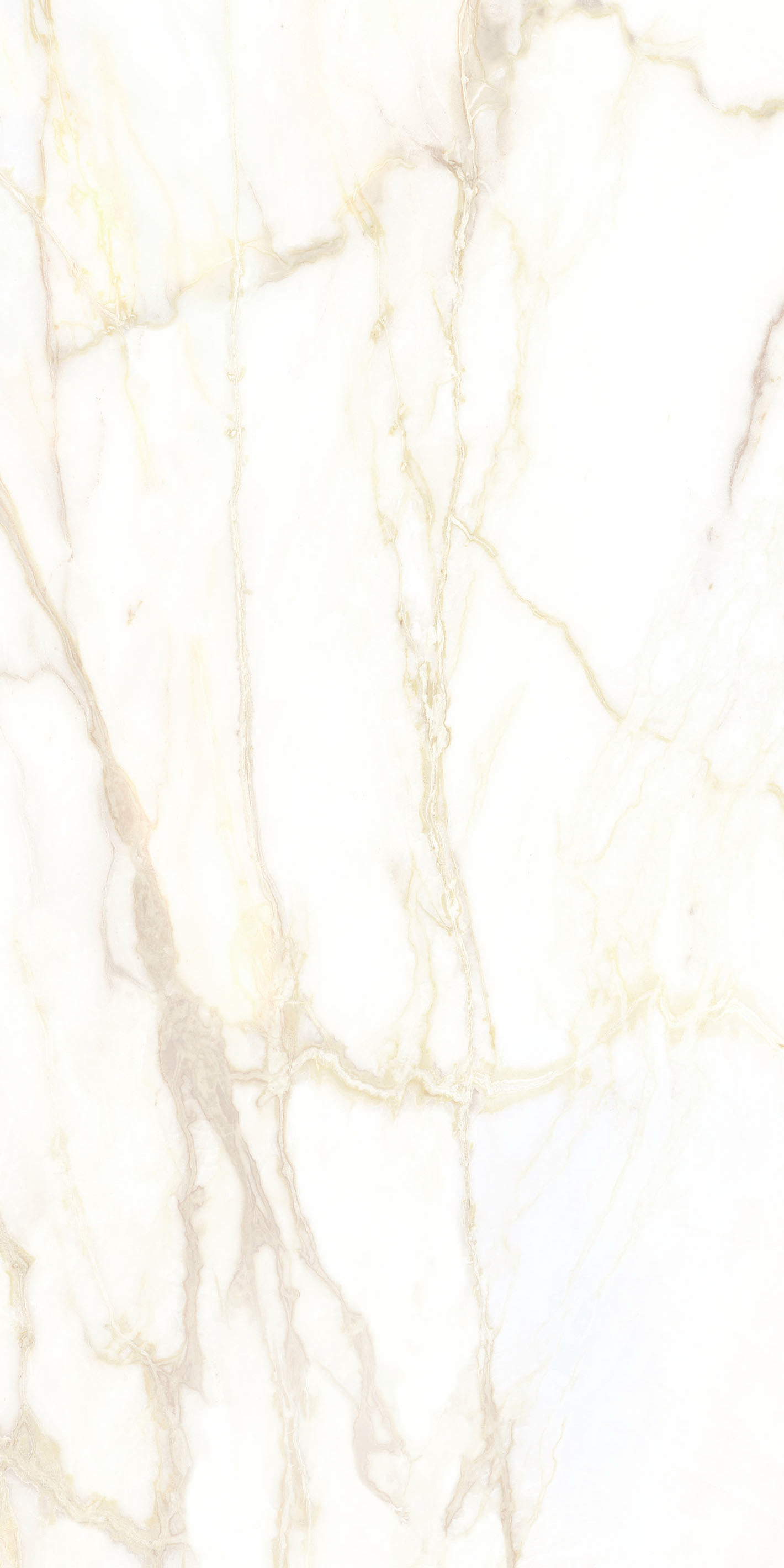 769471 Chimera Empatia Bianco Mat Ret 6mm 60x120 Cedit
