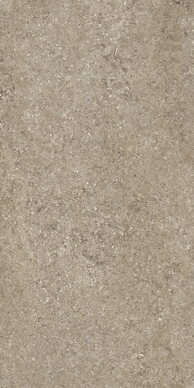 768623 Sensi Taupe Fossil Nat Ret 6mm 60x120 Casa Dolce Casa