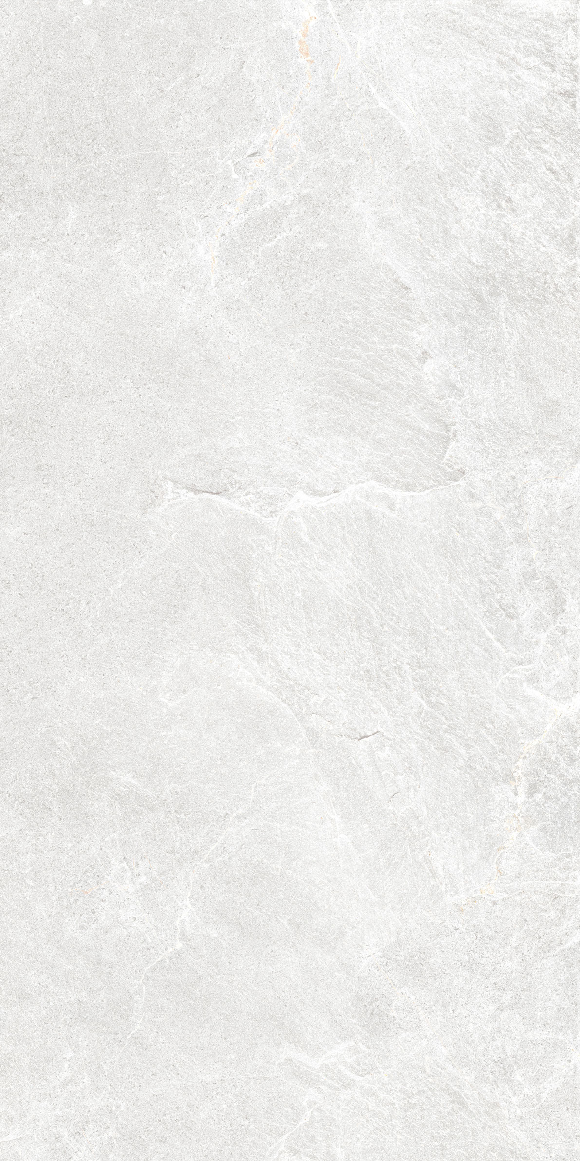 GT1206023206MSR Skala Светло-серый 60x120 Global Tile фото 8
