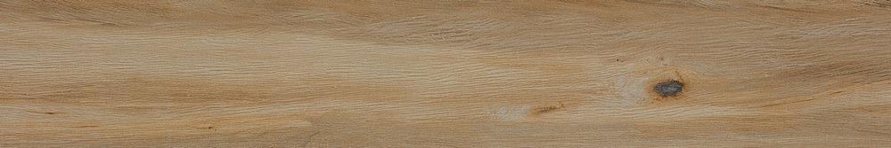 Leccio Classico Ret 20x120 Serenissima Cir