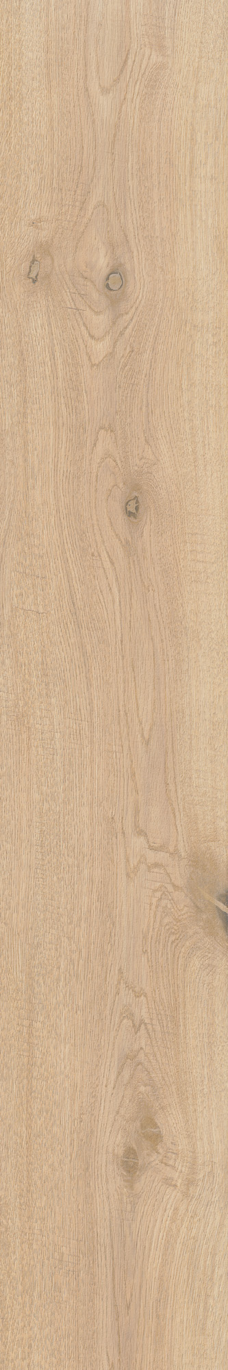 AHG9 Rever Anise Matt RT 20х120 Caesar