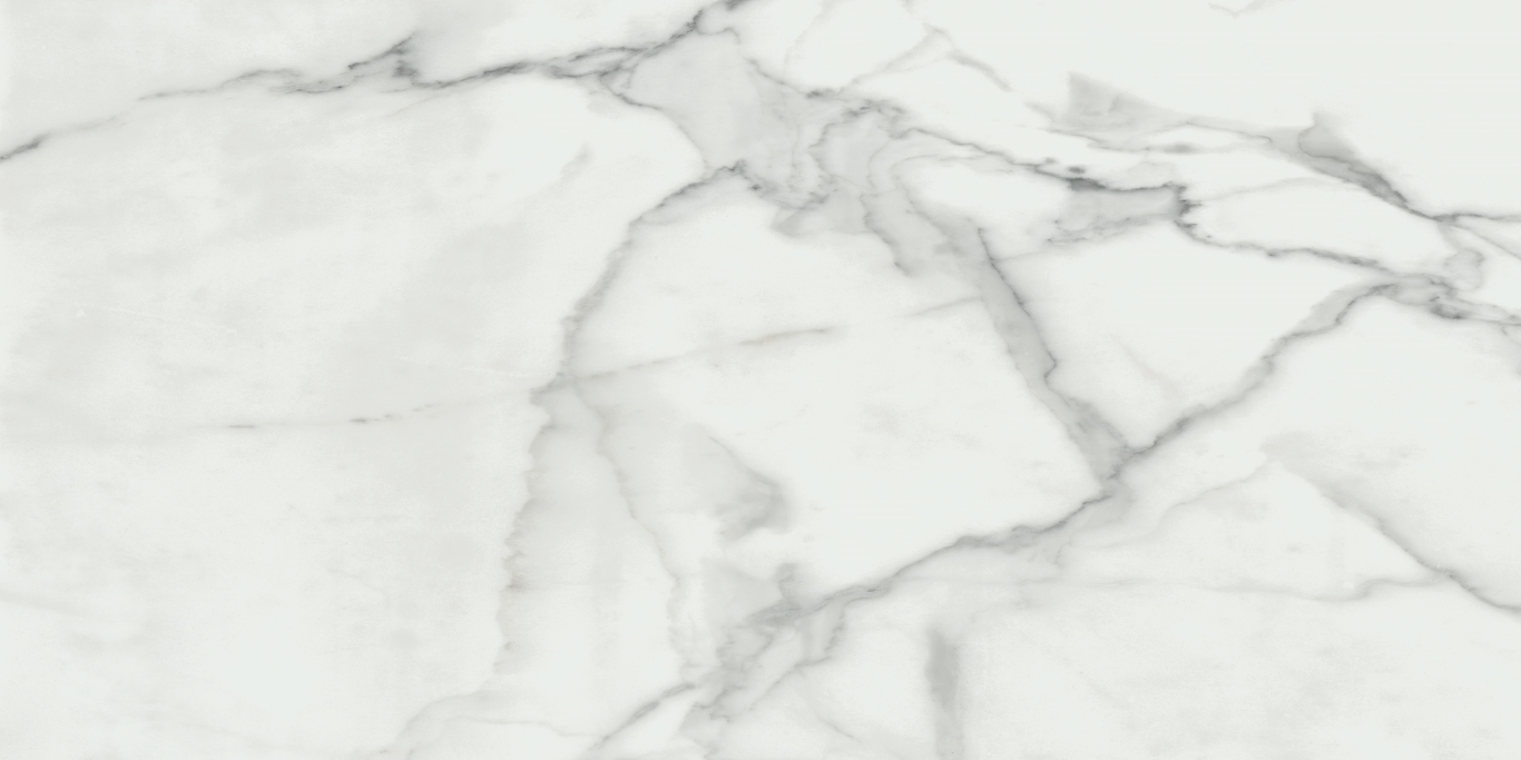 Invictus Natural Rectificado 60x120 Baldocer