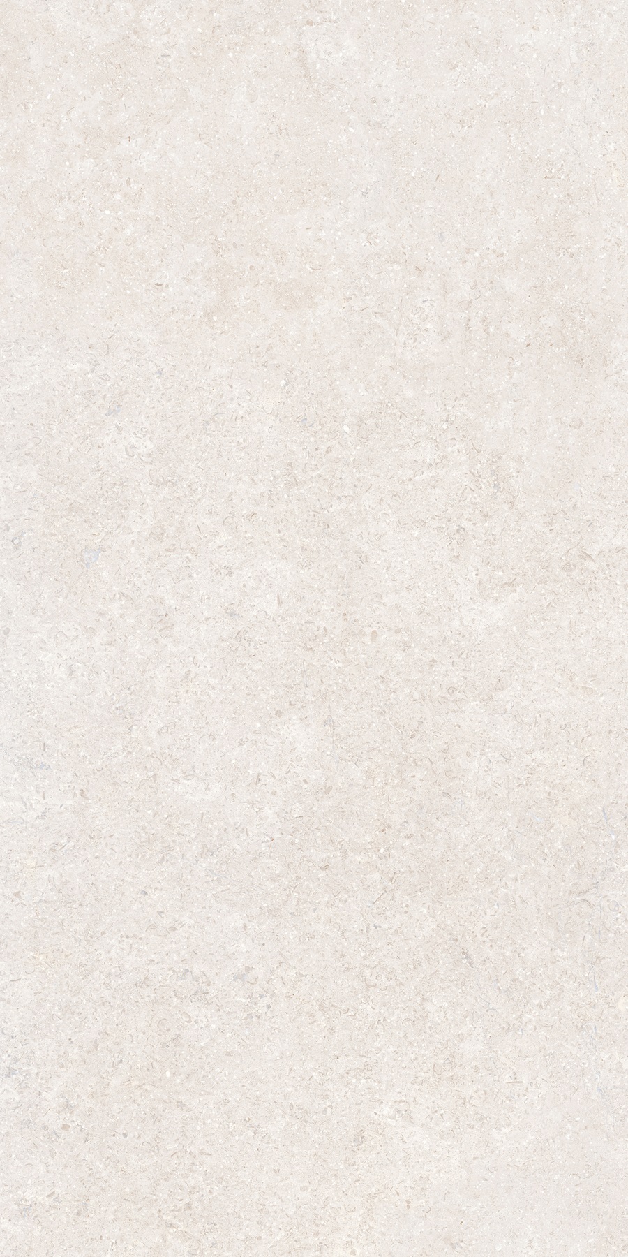K948597R0001VTER SandStone Белый Матовый R10A Ректификат 60х120 Vitra