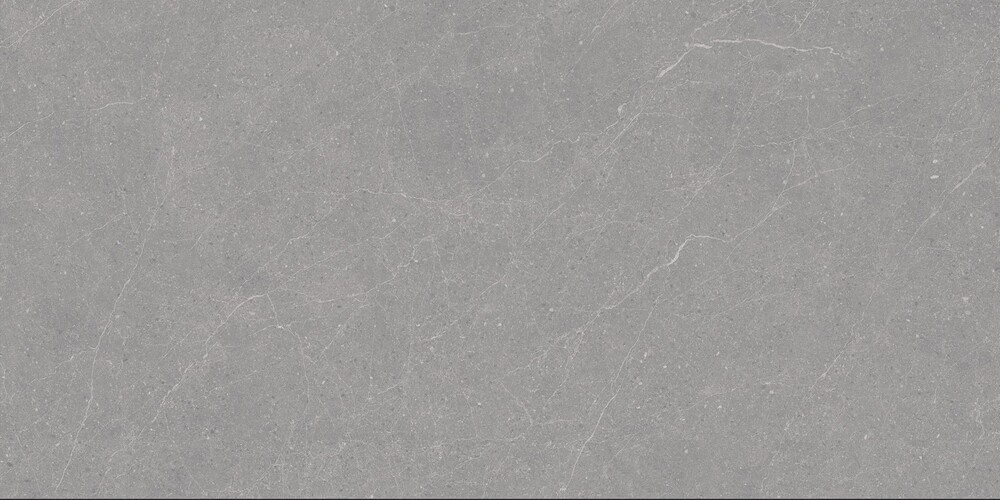 Elenta Grey Carving 60x120 Duna