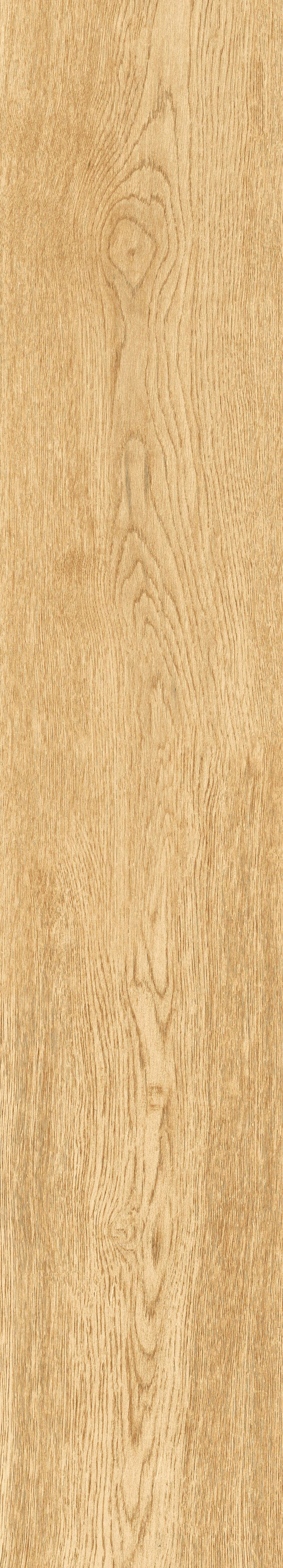 1064 Parma Honey Mate 120x20 Artcer