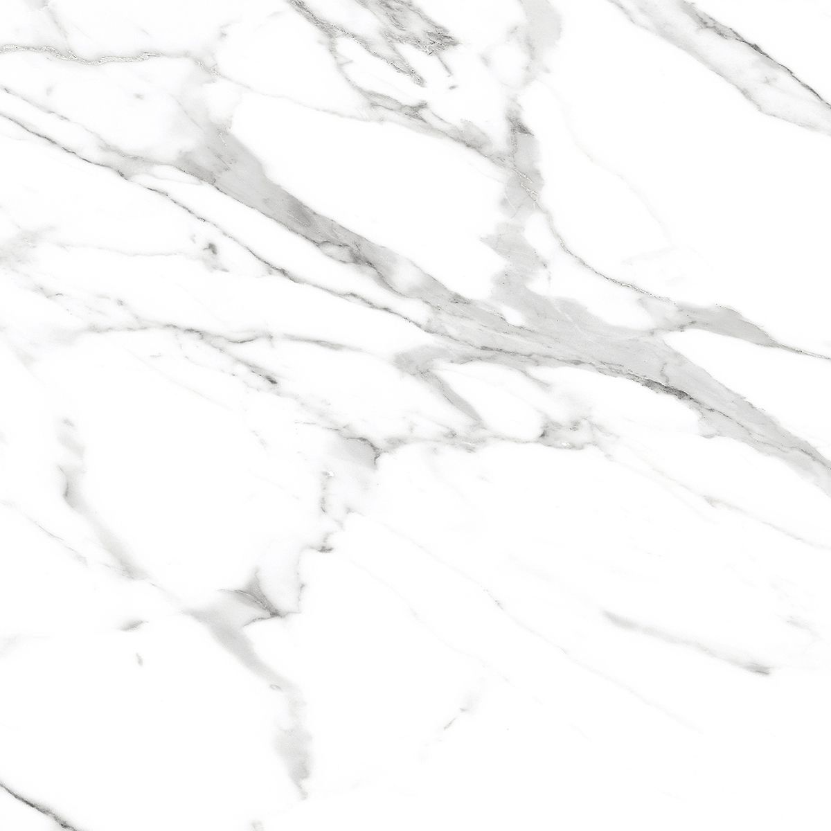 R_PR1000 Calacatta Peniscola Polished 60x60 Royce