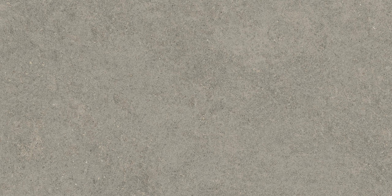 610010005821 Forte dei Marmi Rock Lunar Grey Matt Rett 60x120 Atlas Concorde Russia