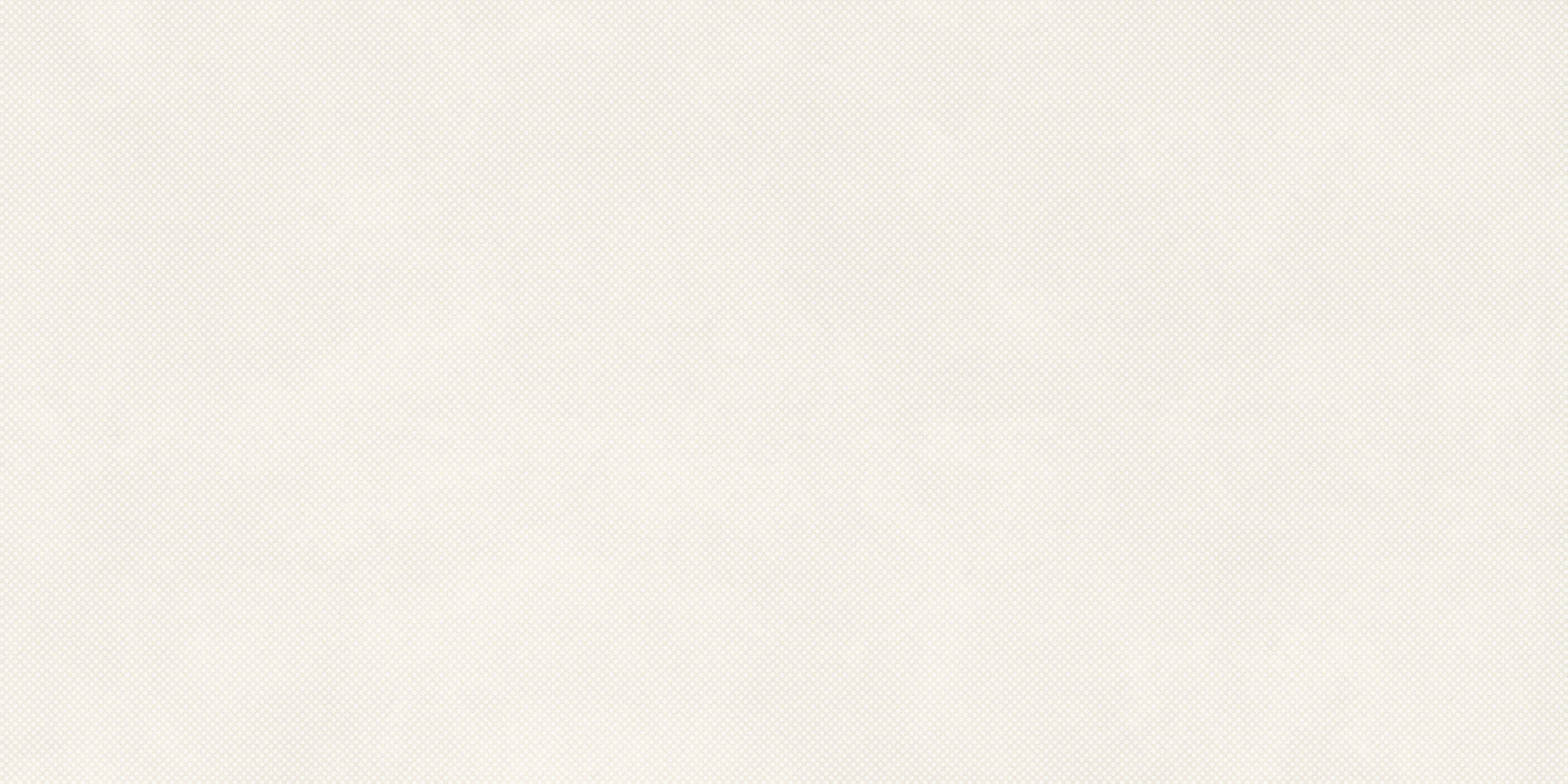 PAT6 NEVE12 RM 60x120 Imola Ceramica