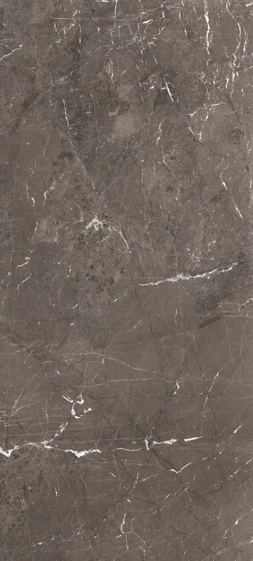 784883 Heritage Brown Matte Silk 6mm 120x280 Rex Ceramiche фото 2
