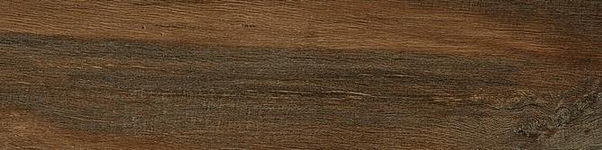 Leccio Verniciato 10x40 Serenissima Cir