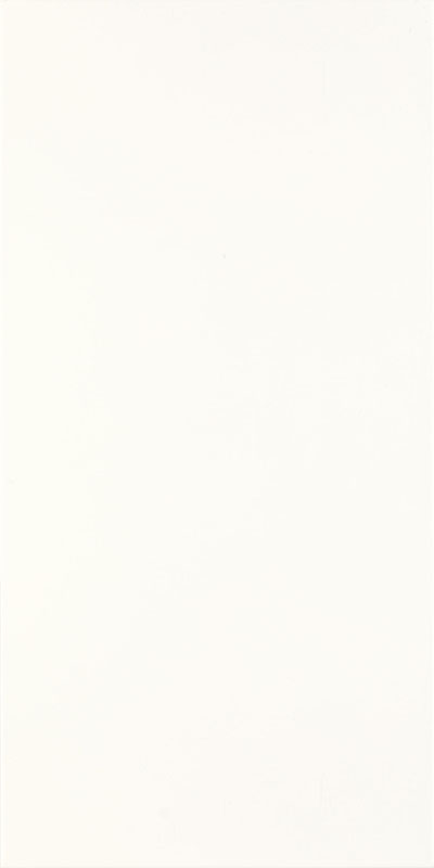 Porcelano Bianco 30х60 Paradyz