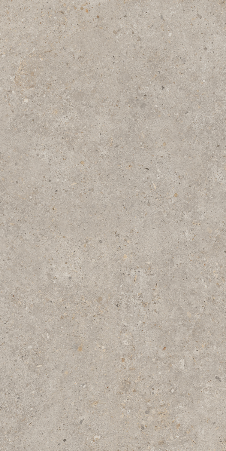 SG540620R Риккарди бежевый матовый обрезной 60х119,5 Kerama Marazzi фото 2