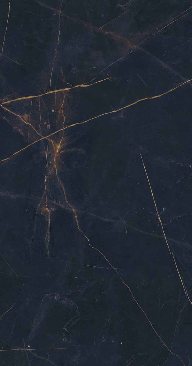 PF60011003 Precious Black Lux Ret 60x120 ABK