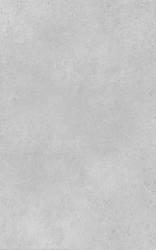 00-00-5-09-00-06-2840 Плитка Misty light 25х40 Creto