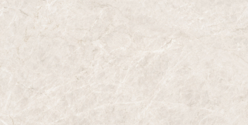 004.869.0108.14164 Керамогранит Taj Mahal White Polished Rect 60x120 Pamesa