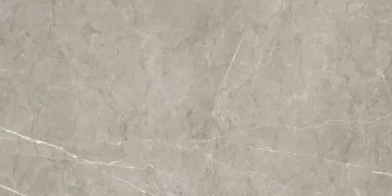 017.869.0002.14631 Керамогранит Sense Gris Satin Rec 60x120 Pamesa