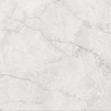 033.120.0108.00569 Керамогранит Hermes White Antic 120x120 Pamesa