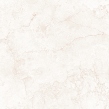 033.120.0163.00569 Керамогранит Hermes Cream Antic 120x120 Pamesa