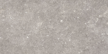 096.022.0002.00206 Керамогранит Dover Gris MT Rect 60x120 Pamesa