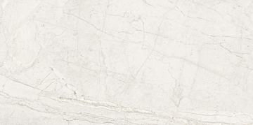 100355105 Керамогранит Colorado Bone L 59,6x120 Porcelanosa