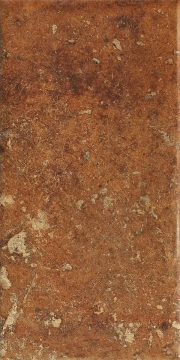 1080484 Керамогранит Cotto Del Campiano Cotto Dorato 20x40 CIR