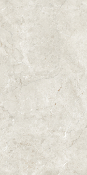 1217 Керамогранит Palermo Silver Matt Glr 9 mm 120x60 Artcer