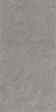 1224 Керамогранит Graniti Grey Matt Ghr 120x60 Artcer