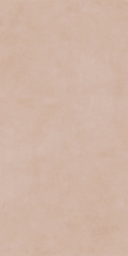 145028 Керамогранит Mind Hazelnut Molato Rect 60x120 Naxos