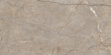17124 Керамогранит Silver Roots серый матовый ректификат 60x120 Cersanit