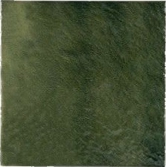 25402 Керамогранит Agora Relief Green 25х25 Serapool