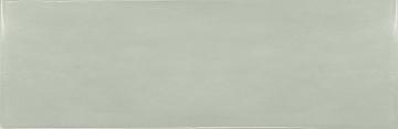 25643 Плитка Mint 6.5x20 EQUIPE