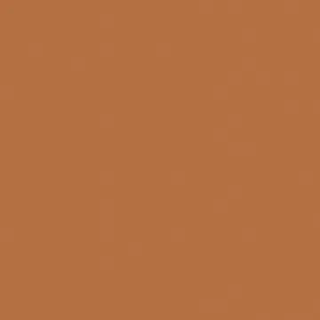 27683 Керамогранит Bauhome Terrakotta 20х20 EQUIPE