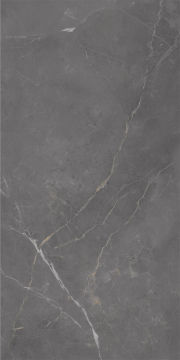 296 Керамогранит Флора дарк 60x120 Eurotile Ceramica