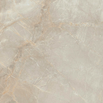 304341 Керамогранит Charme Ivory Rett 120x120 Dado Ceramica