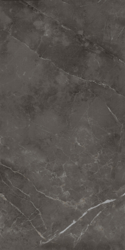 458 Керамогранит Флора грэй полированный 60x120 Eurotile Ceramica